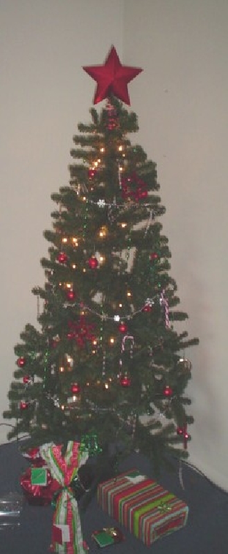 2004-12-11-nicolexanna-Christmas Tree.jpg