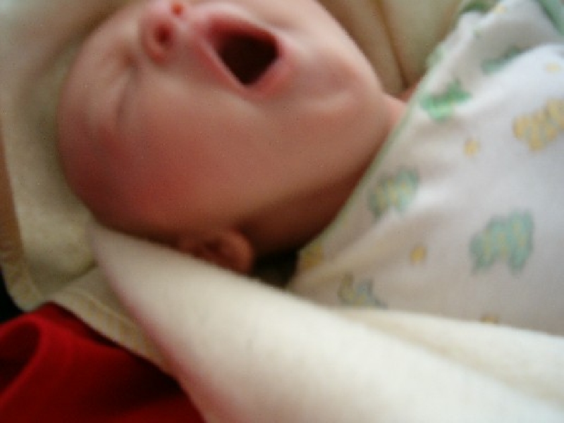 2005-03-05-guest-the wound!.jpg