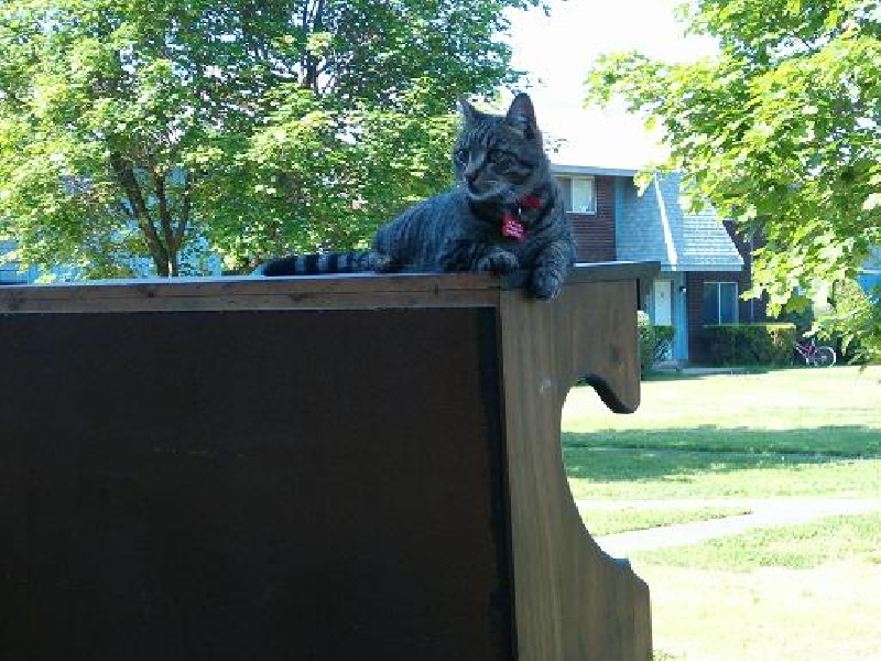 2005-06-09-guest-Zip Tag Saling.JPG