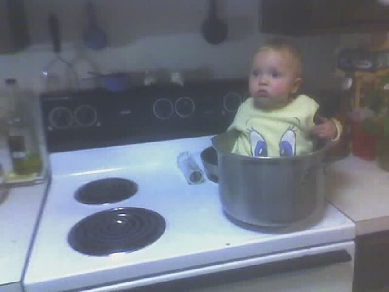 2005-09-27-guest-gigi in a pot 1.jpg 2005-09-27-guest-gigi in a pot 1.jpg