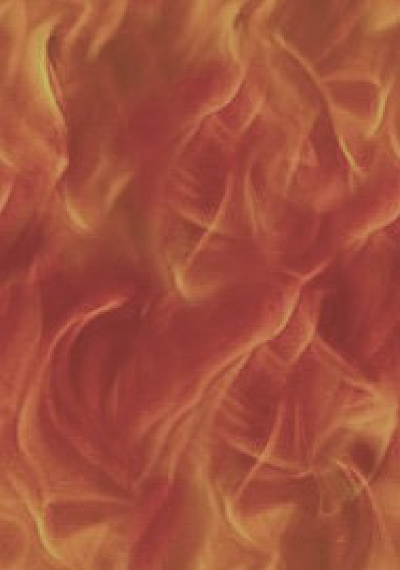 2006-09-01-nicoolexanna-flames1.jpg