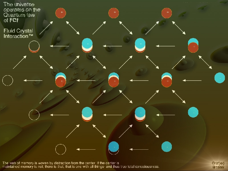 fluid crystal interaction copy.jpg