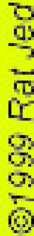 copy.jpg