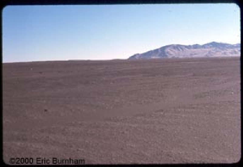 FIELDS4.JPG