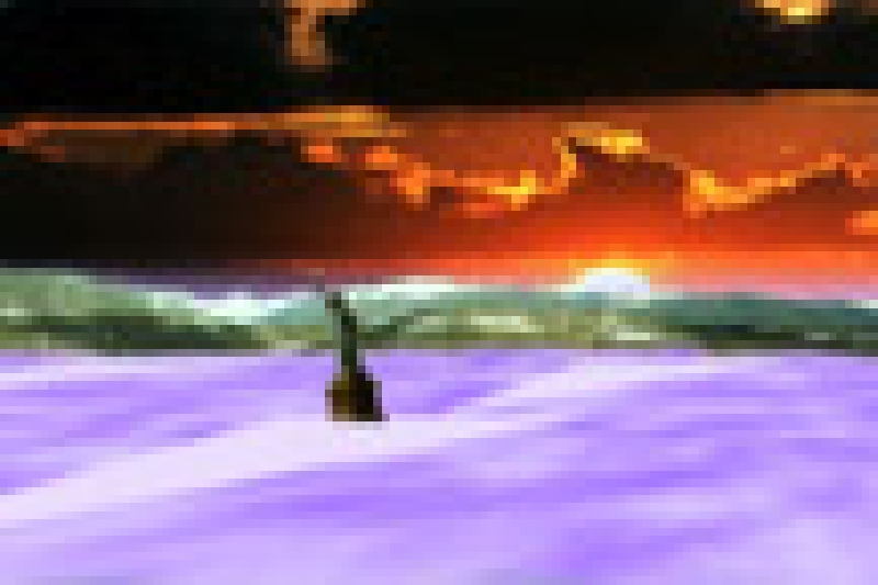 libirty_1.JPG